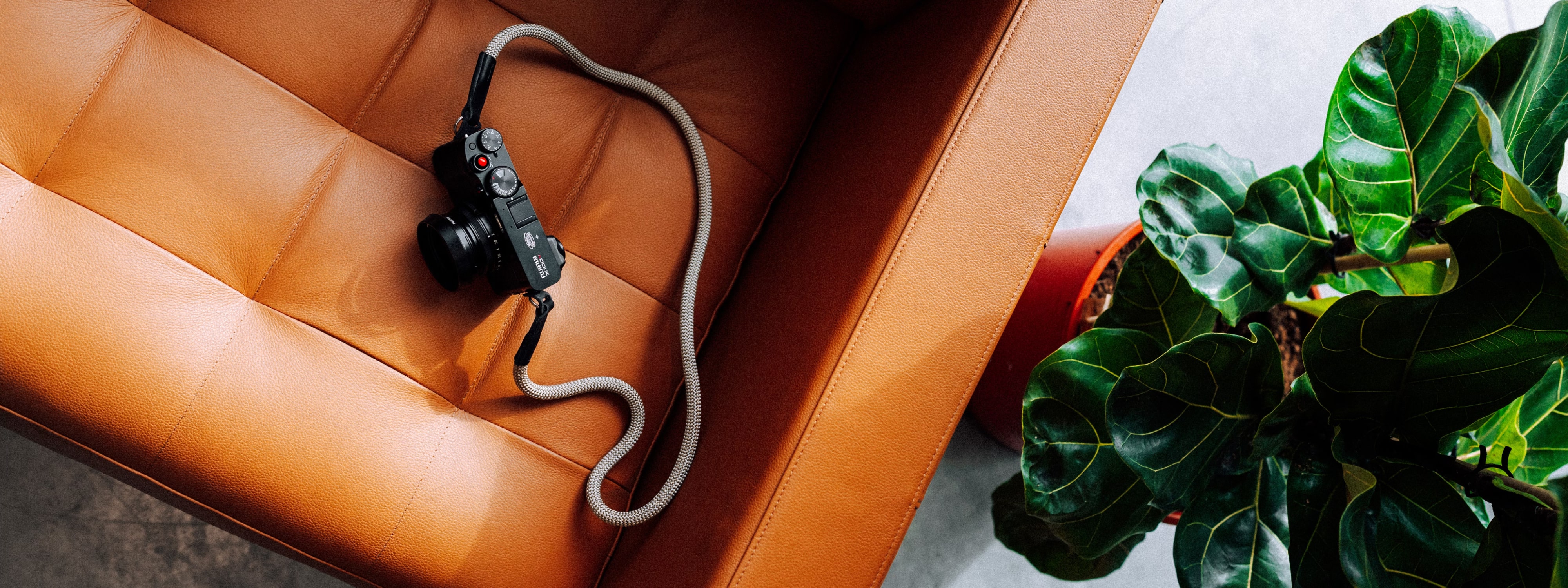 Camera on leather seat with green plant in pot nearby